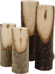 Creativ company http: www.cchobby.nl decoratieve-boomstam-h-8-12-cm-d-2-5-3-5-cm-4-stuk-1-doos