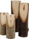 Creativ company decoratieve boomstam divers, 4st.