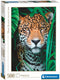 Clementoni puzzel jaguar in de jungle, 500st.