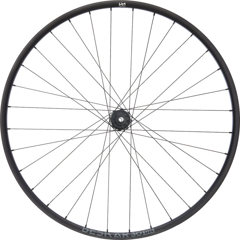 Load image into Gallery viewer, Newmen beskar 30 dh race 29 6-bolt 12x157 fade rear wheel
