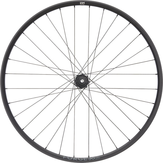 Newmen forge 30 dh 29 6-bolt 12x148 fade rear wheel
