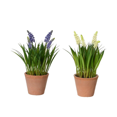 Decoris kunstplant druifjes in pot ã˜11xh26cm 2 assorti