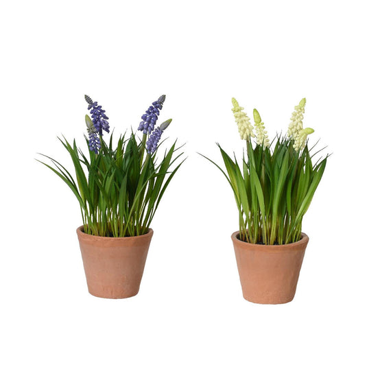 Decoris kunstplant druifjes in pot ã˜11xh26cm 2 assorti