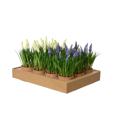 Decoris kunstplant druifjes in pot ã˜11xh26cm 2 assorti