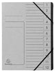 Exacompta 541211e, project folder, a4, karton, grijs, 355 g m², elastische band