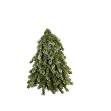 Roberts collection kunstboom nobilis groen 50cm