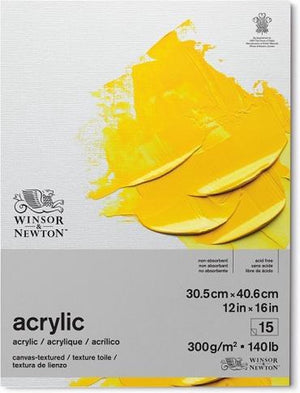 Winsor newton acrylic papier 31x41