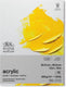 Winsor newton acrylic papier 31x41