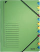Sorteermap leitz groen karton a4