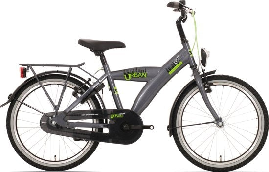 Load image into Gallery viewer, Bikefun kinderfiets urban city 26 inch met nexus 3 versnelling remnaaf - titanium
