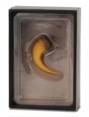 Collecta figurine gift set - baryonyx klauw