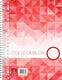Work collegeblok a4 - ruit 5 mm - 70 grams - 23 gaats - 80 vel - 5 stuks