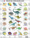 7023852125694