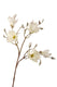 Roberts collection kunsttak magnolia crème 96cm