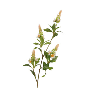 Roberts collection kunsttak pachystachys crã¨me roze 95cm