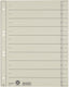Leitz staffeltabblad karton - beschrijfbare tabs, 2 4-rings - voor ordners en ringbanden - grijs
