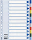 Esselte 10 x tabbladen 12 tabs (15262)