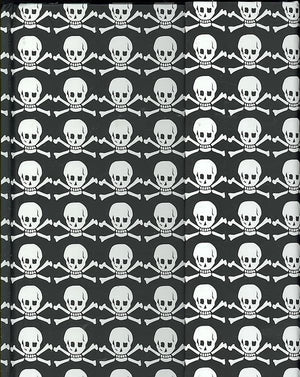 Peter pauper magnetic notitieboek - skull - crossbones - 16x21 cm