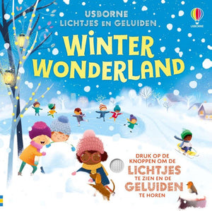 Kartonboek: winter wonderland 1+