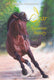Kluitman izar de spaanse beauty