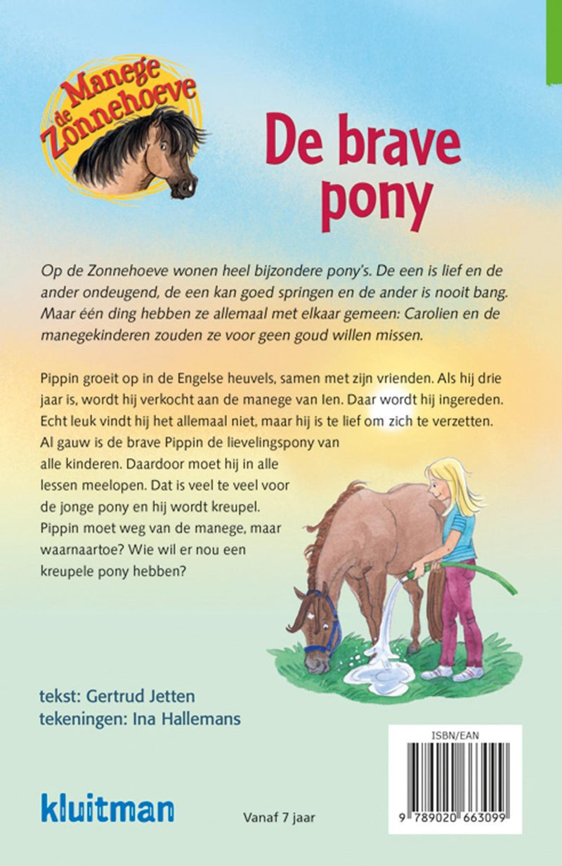 Load image into Gallery viewer, Kluitman manege de zonnehoeve. de brave pony
