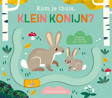 Schuifboekje: kom je thuis klein konijnt
