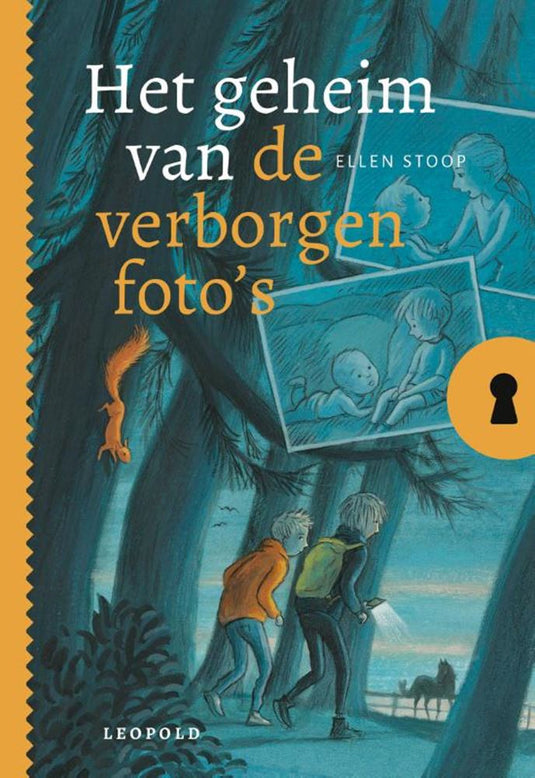 Het geheim van de verborgen foto's 8+