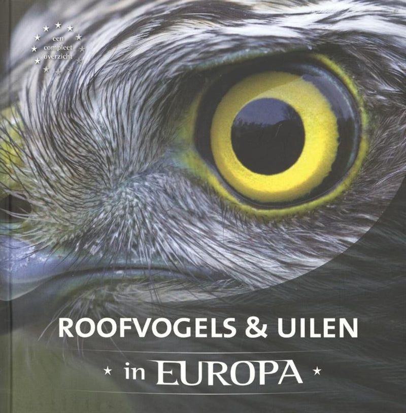 Chargez l'image dans la visionneuse de la galerie, Roofvogels uilen in europa volwassene
