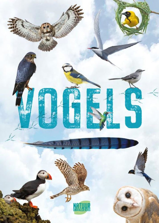 Rebo publishers vogels - gids en natuurdagboek voor kinderen