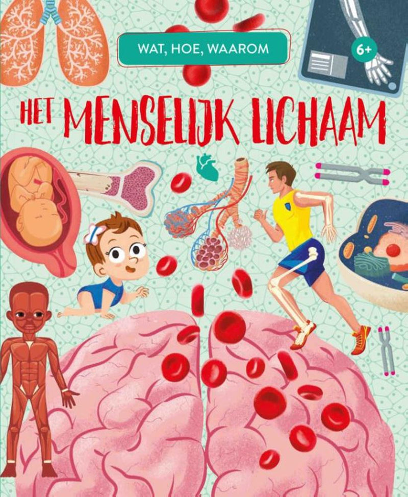 Afbeelding laden in galerijviewer, Rebo publishers het menselijk lichaam - wat, hoe, waarom
