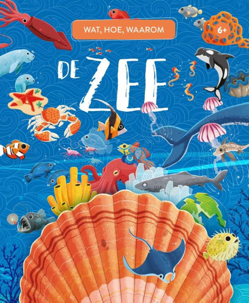 Afbeelding laden in galerijviewer, Rebo publishers de zee - wat, hoe, waarom 6+
