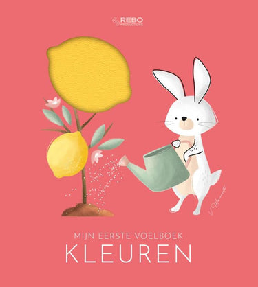 Rebo publishers kleuren - mijn eerste voelboek 0+