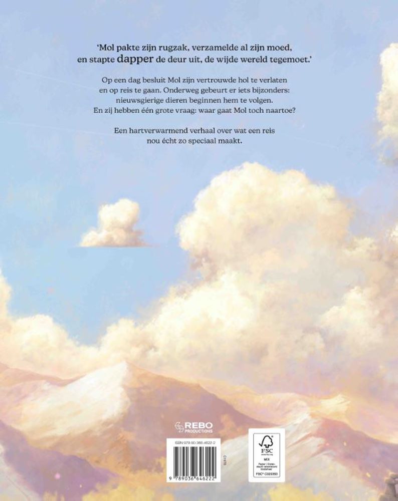 Afbeelding laden in galerijviewer, Rebo publishers prentenboek: de reis. 4+

