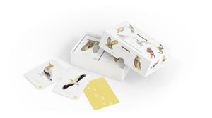 Roofvogels en uilen memospel 6+