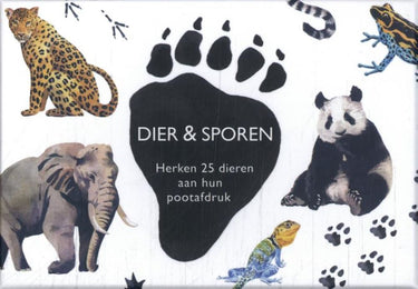 Dier sporen herken dieren aan hun po