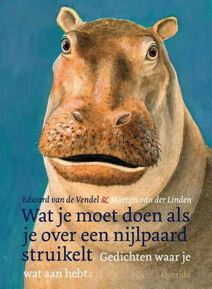 Wat je moet doen als je over een nijlpaa