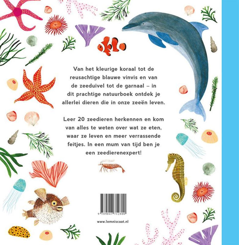 Afbeelding laden in galerijviewer, Mijn eerste zeedierenboek. 4+

