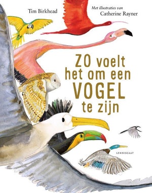 Zo voelt het om een vogel te zijn 9+