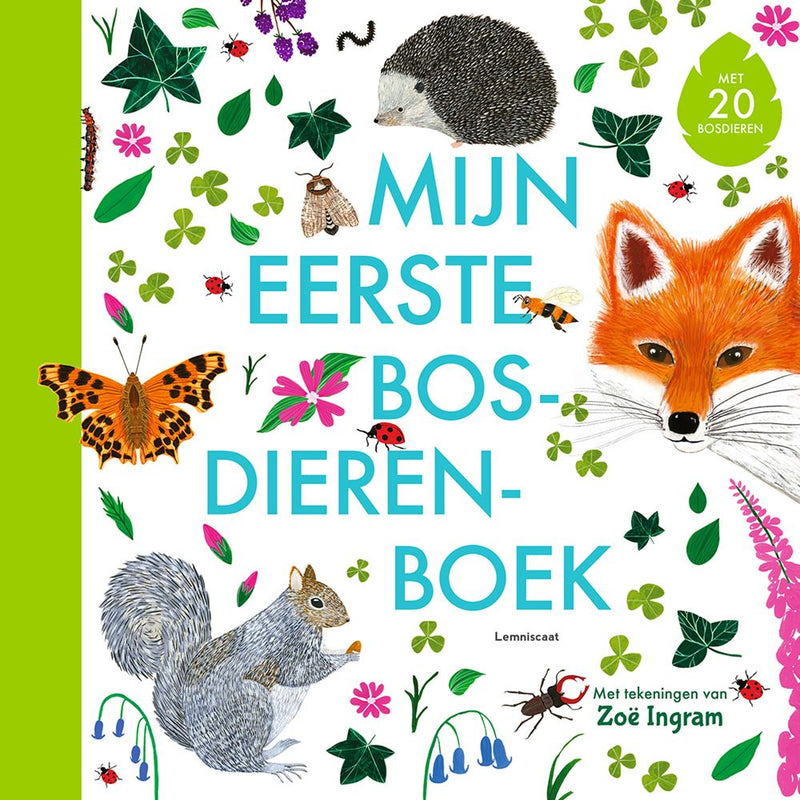 Afbeelding laden in galerijviewer, Mijn eerste bosdierenboek 4+
