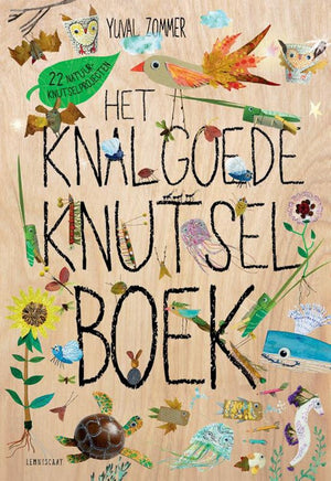 Het knalgoede knutselboek 8+