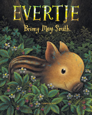 Prentenboek: evertje 4+