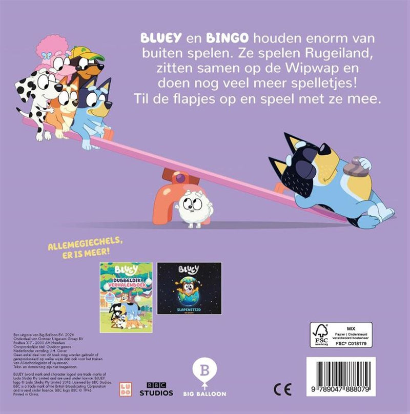 Chargez l'image dans la visionneuse de la galerie, Centraal boekhuis buitenspelletjes - flapjesboek
