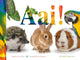 Voelboek: aai! 1+