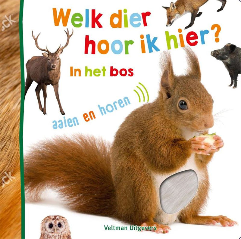 ギャラリービューアに画像をロードする, Welk dier hoor ik hier? - in het bos 1+
