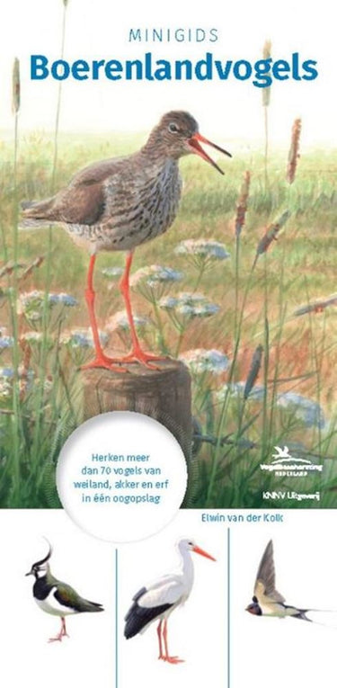 Minigids boerenlandvogels