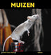 Poot voor poot: muizen. 8+