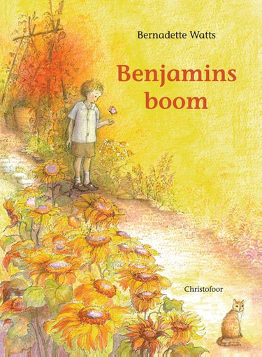 Benjamin's boom. 3+