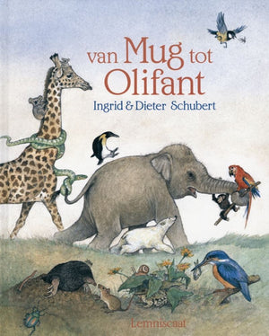 Van mug tot olifant. 5+