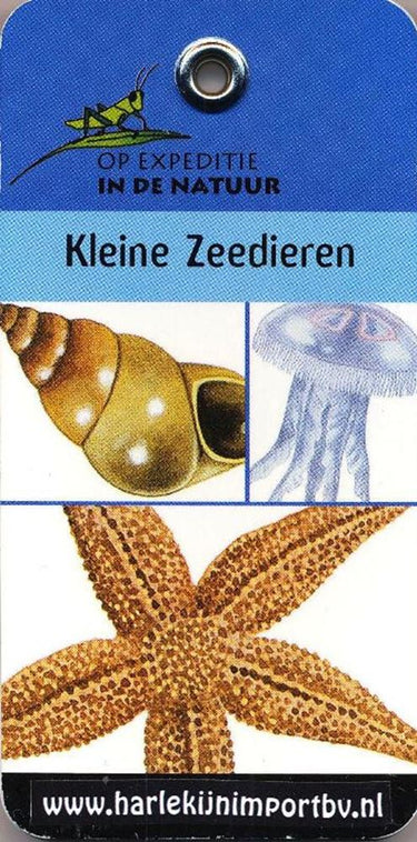 Expeditieboek: kleine zeedier (6 st)
