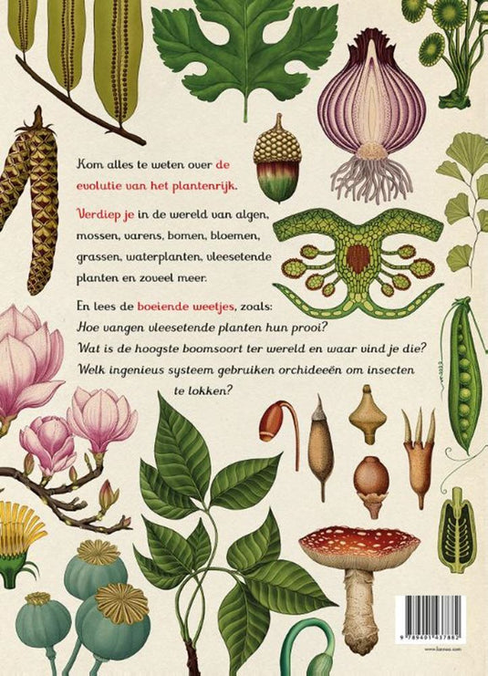 Het plantenboek. 8+